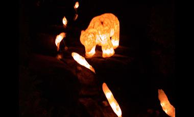 304RenfrewBearSalmon